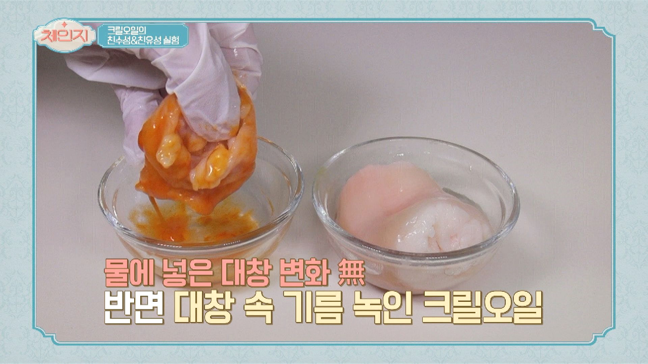 혈관 속 지방 청소기 &#39;크릴오일&#39;의 지방 분해력은?