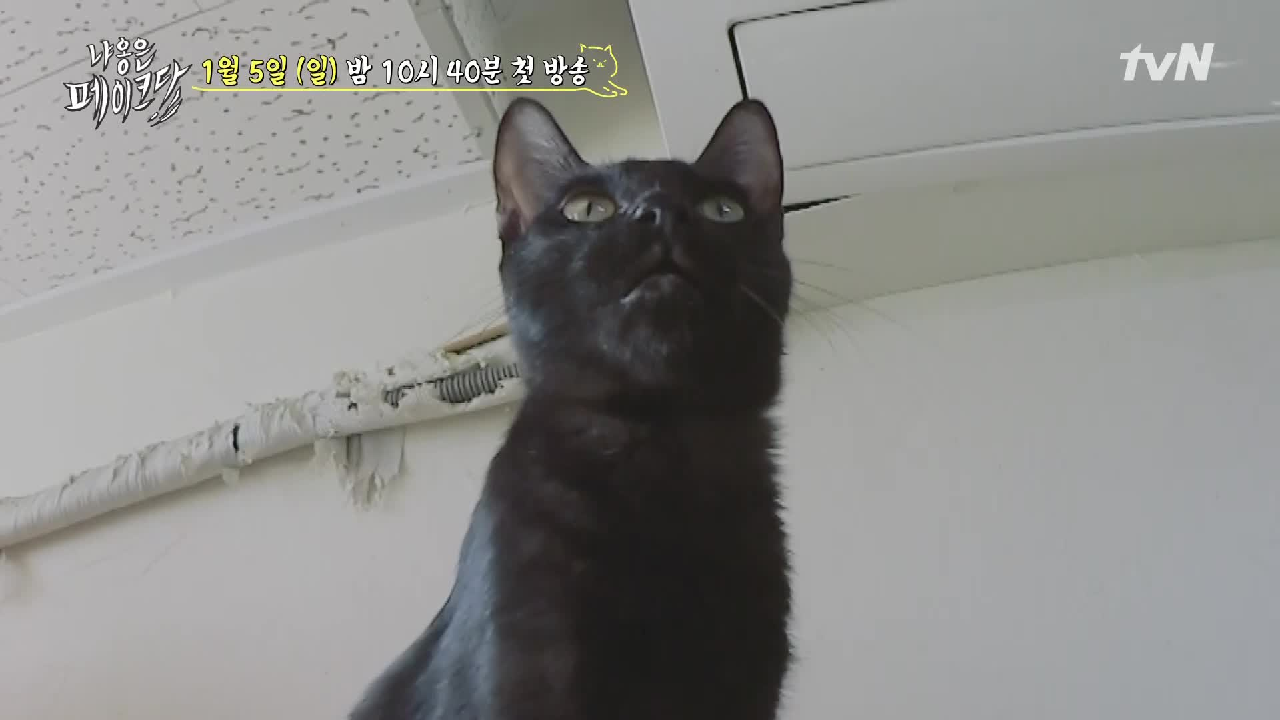 thumb.png?ts=1578237485