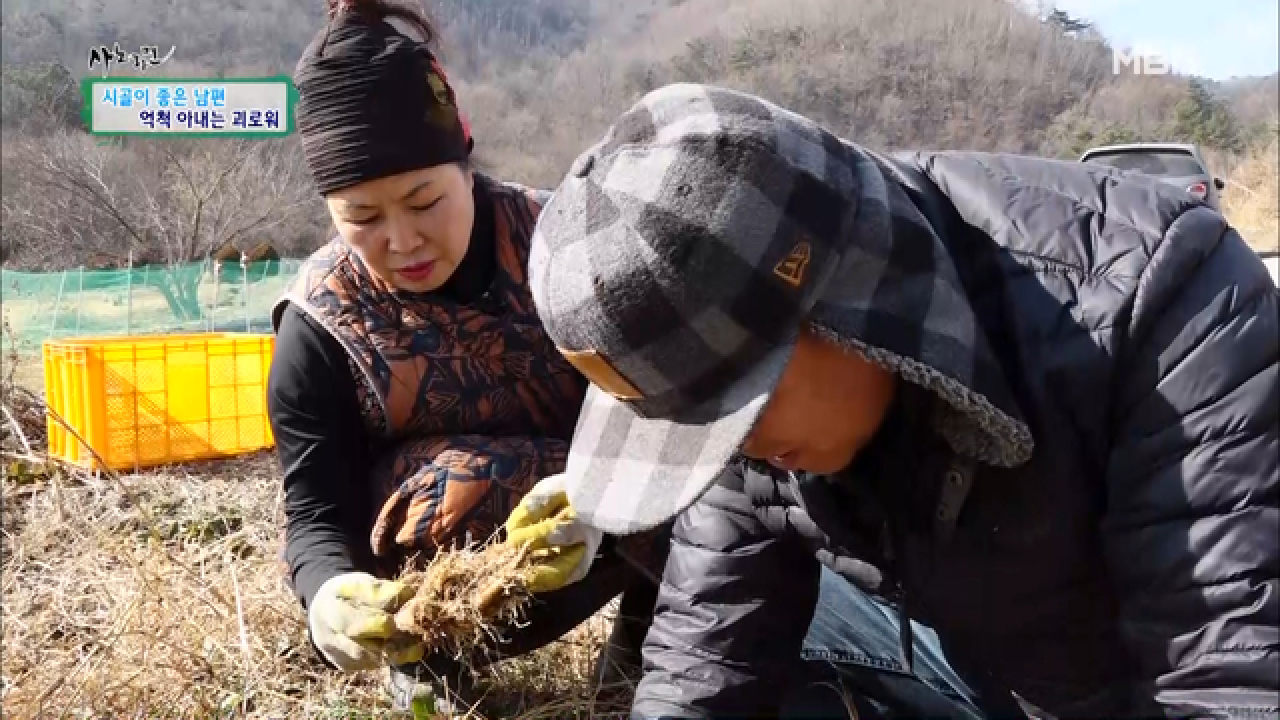 thumb.png?ts=1579013081