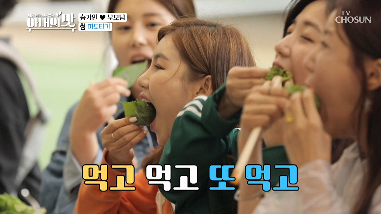 푸짐한 MT 한 상! 먹고 또 먹고 (쌈 + 건배) 쌈배까지 ♬