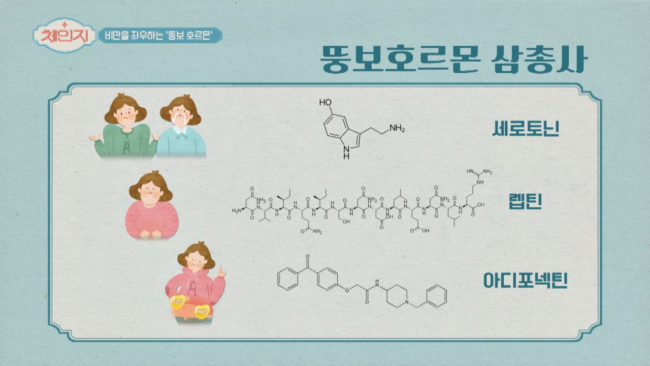 폭식의 원인 &#39;뚱보 호르몬 삼총사&#39;의 정체!