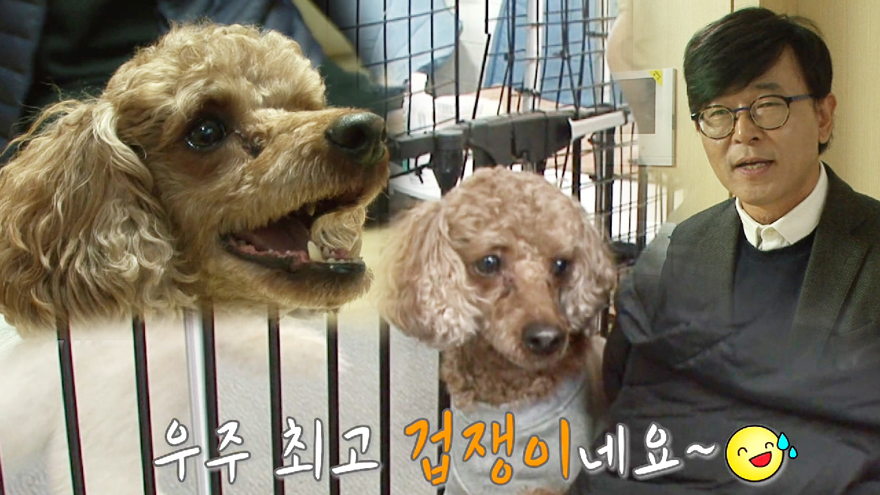 thumb.png?ts=1579179776