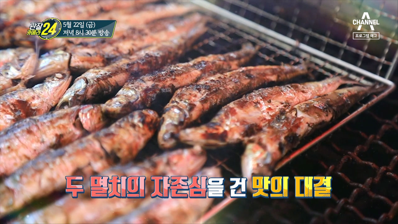 관찰 카메라 24 138회