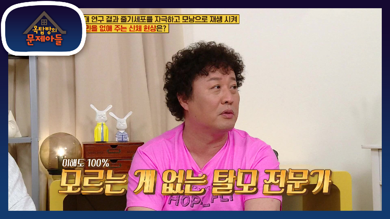 연예계 1세대(?) 모발 이식과 탈모 전문가, 정준하!! | KBS 21...