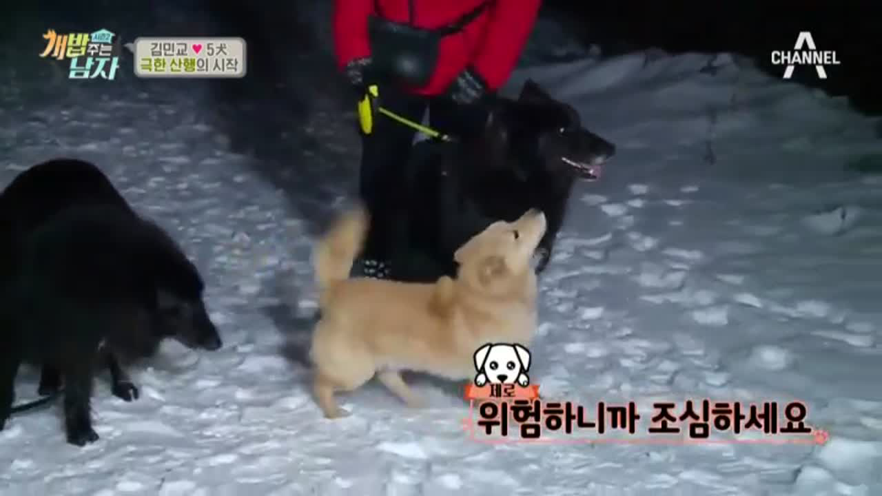 민교♡소영, 일출 보러 가즈아~ with 코카콜라제로 #씬스틸러_차돌이... 일출 보러 가즈아~ with 코카콜라제로 #씬스틸러_차돌이 #핫똥팩(ㅋㅋ)
