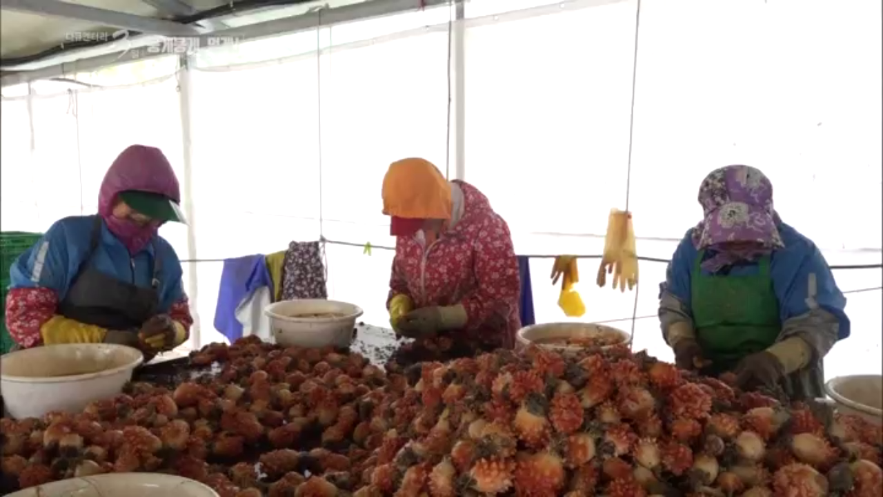바다의 섭리와 어민들의 정성으로