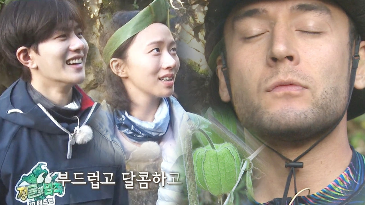 고성희·줄리엔강·보민, 새콤달콤 구스베리 발견에 환호