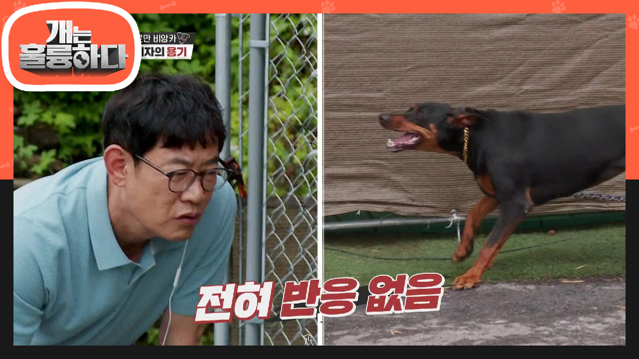 과연 집 밖에서 비앙카의 경계심은? 밖에서도 변함없기 심한 비앙카의 경계심♨ | KBS 210705 방송