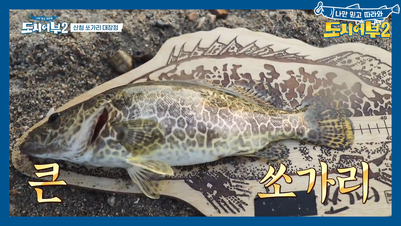 ＊딱 봐도 大자!!!!!!* 도시어부를 구한 덕화의 쏘가리 크기는..?!