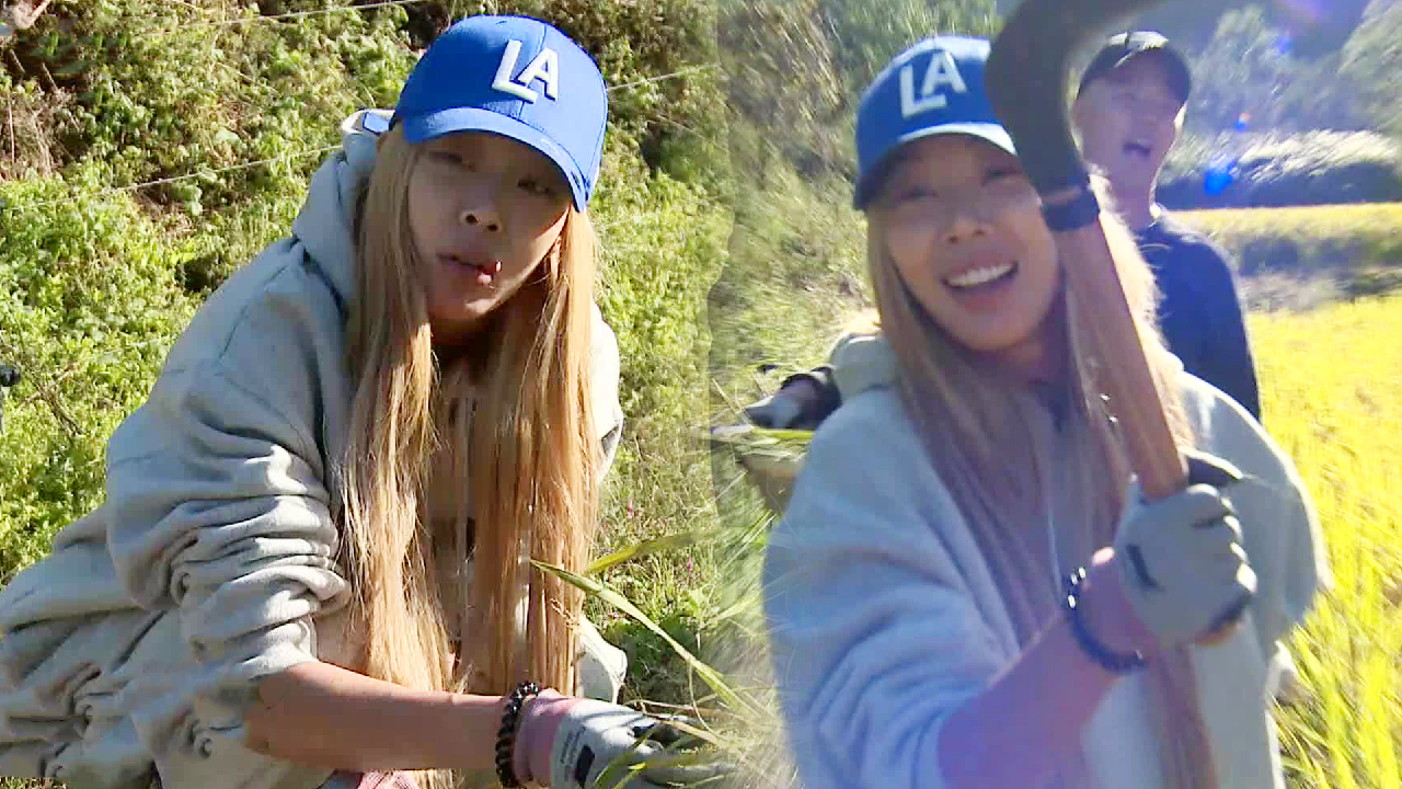 “이게 쌀이라고?” 제시, 생전 처음 본 벼 앞에 현실 부정