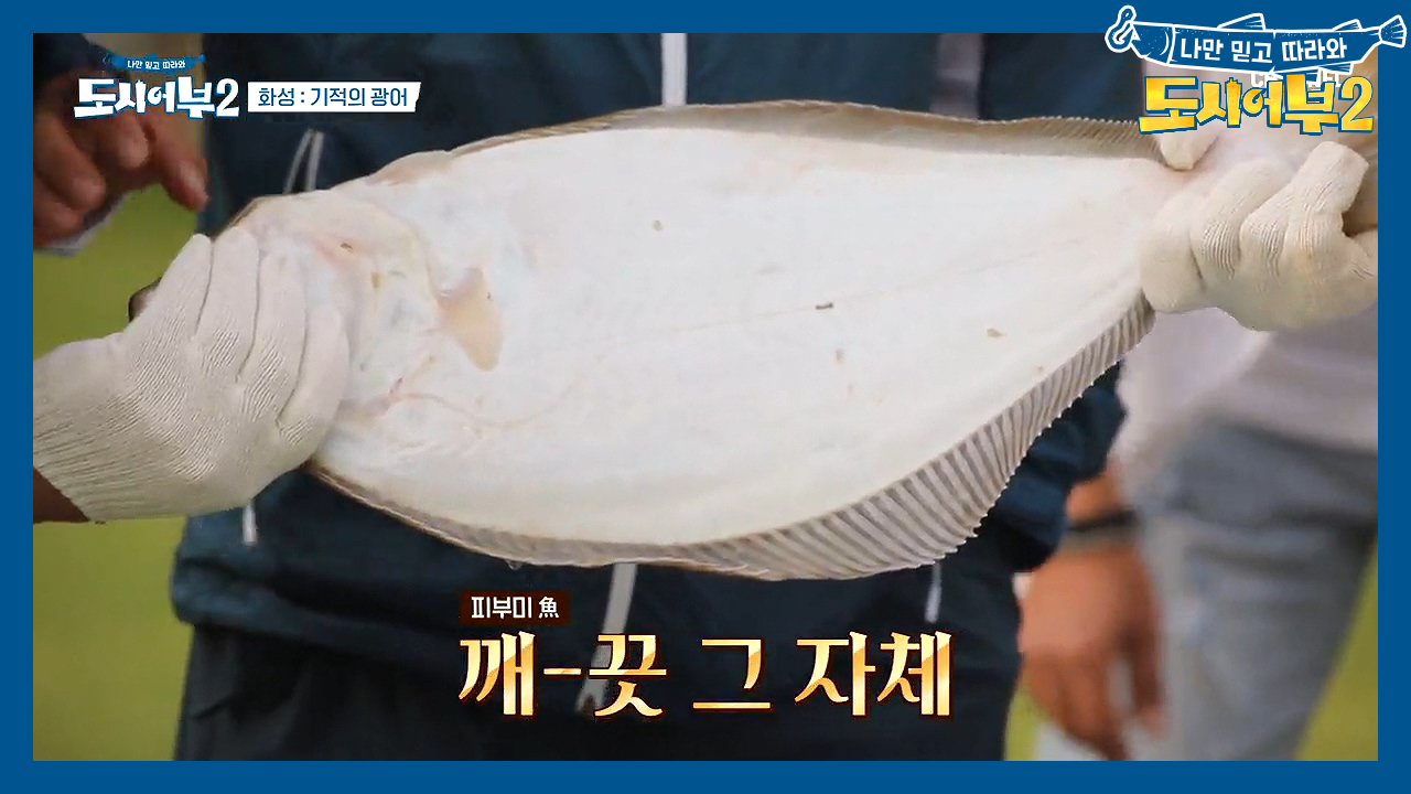 오늘의 주재료는 야들야들 ☆광어☆ 오늘의 저녁 메뉴는?!