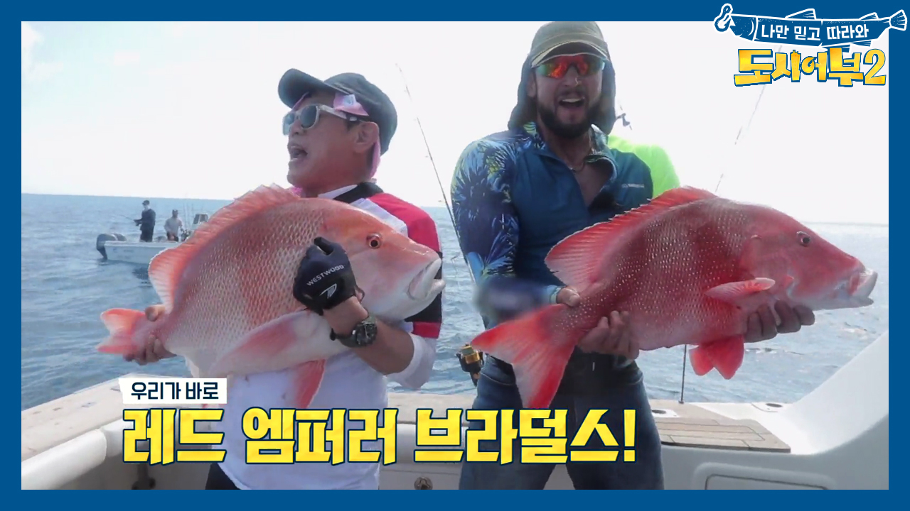 ※역대급※ 경규를 난폭하게 몰아붙이는 녀석은 바로 ★대왕 레드 엠퍼러★?...