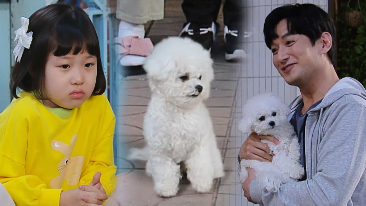 이재황 VS 홍제이, 강아지 이름으로 투닥투닥! (ft. 이재황 꼼수)