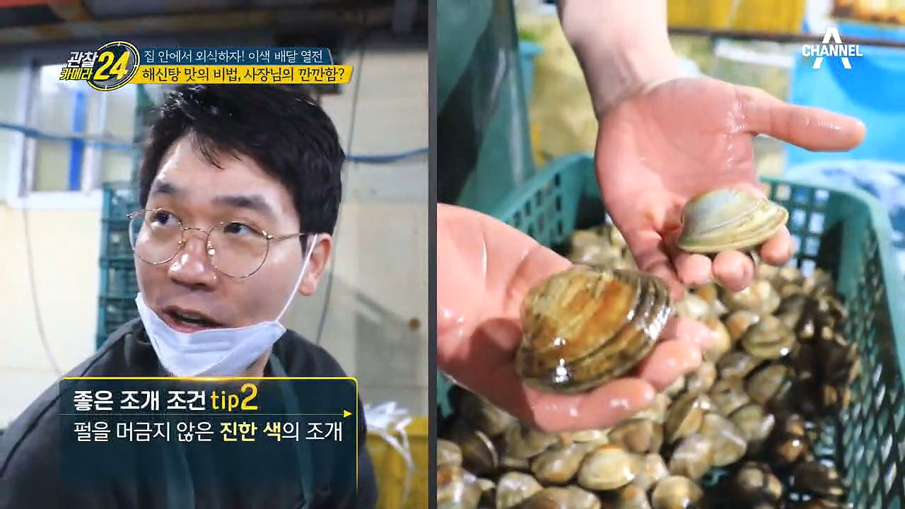 깐깐함이 해신탕의 맛의 비법이다!? 사장님이 알려주는 좋은 조개 고르는 법은?!