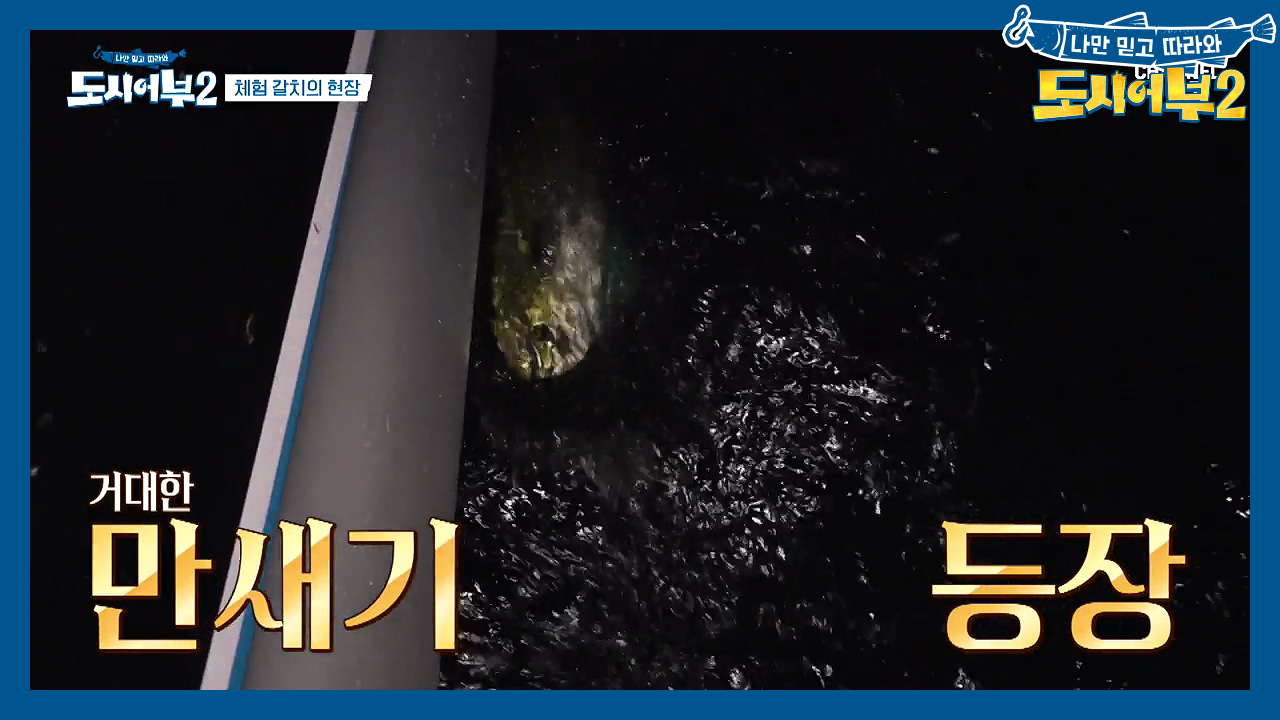 ★미터급 만새기 등장★ 미친 듯이 떨리는 낚싯대! 만새기 VS 주연, 그...