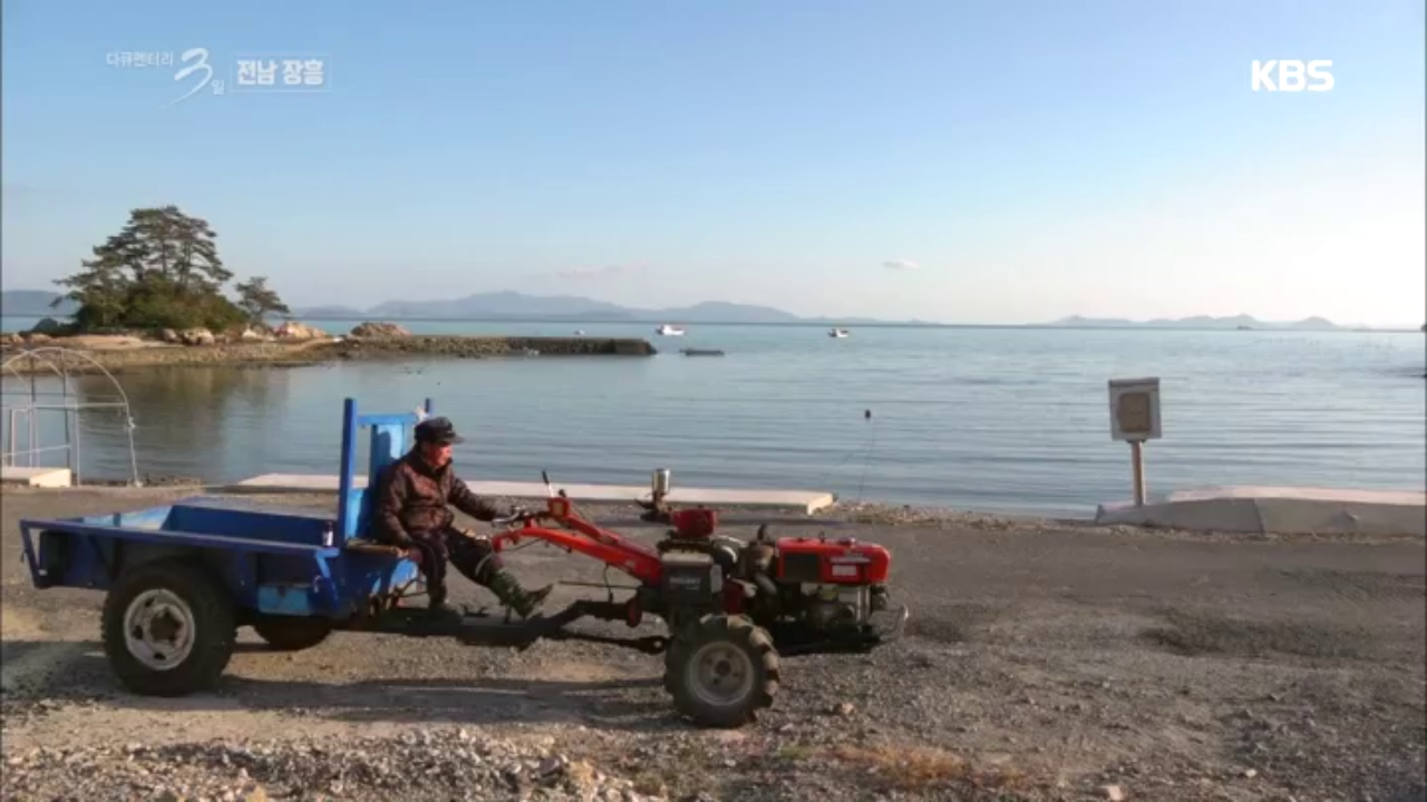 자연산이 한창인 전남 장흥