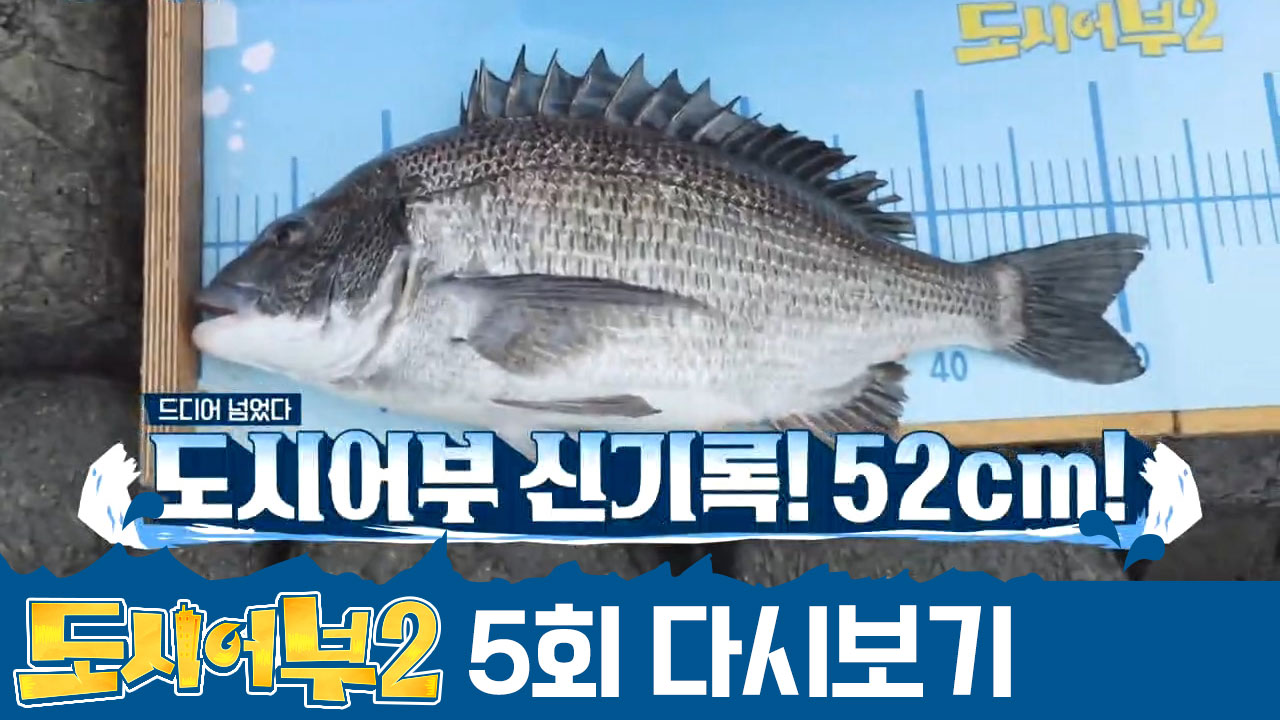 ▶새로운 역사의 탄생◀ 가거도에서 감성돔 최고 기록 세운 박/프/로~!!