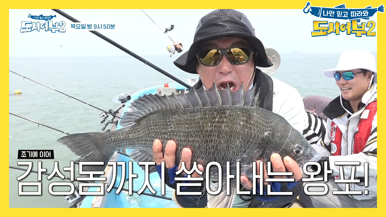 [다음이야기] 개판 5분전ㄷㄷ;; 80마리를 향한 ♨과열 경쟁♨