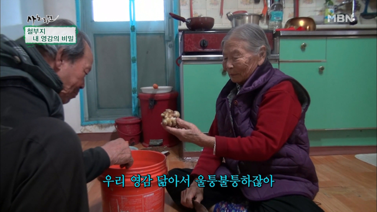 돼지감자를 먹다 티격태격하는 노부부! - kakaoTV 돼지감자를 먹다 티격태격하는 노부부!