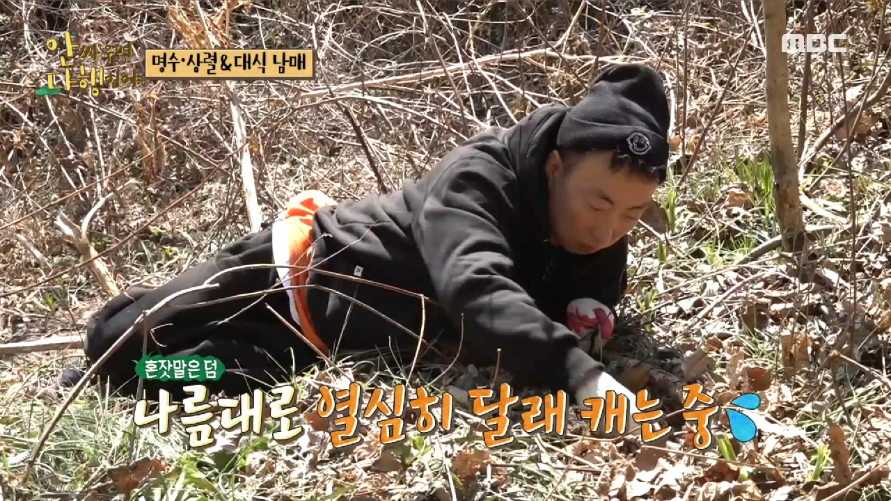 혼자 남겨진 어미 새 박명수 ＂어미 새는 외롭습니다＂, MBC 210419 방송