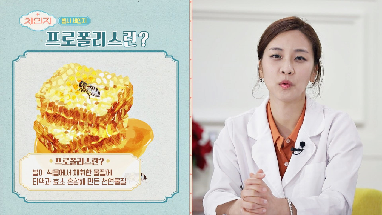 [프로폴리스] 면역력 증강에 도움 주는 천연 물질