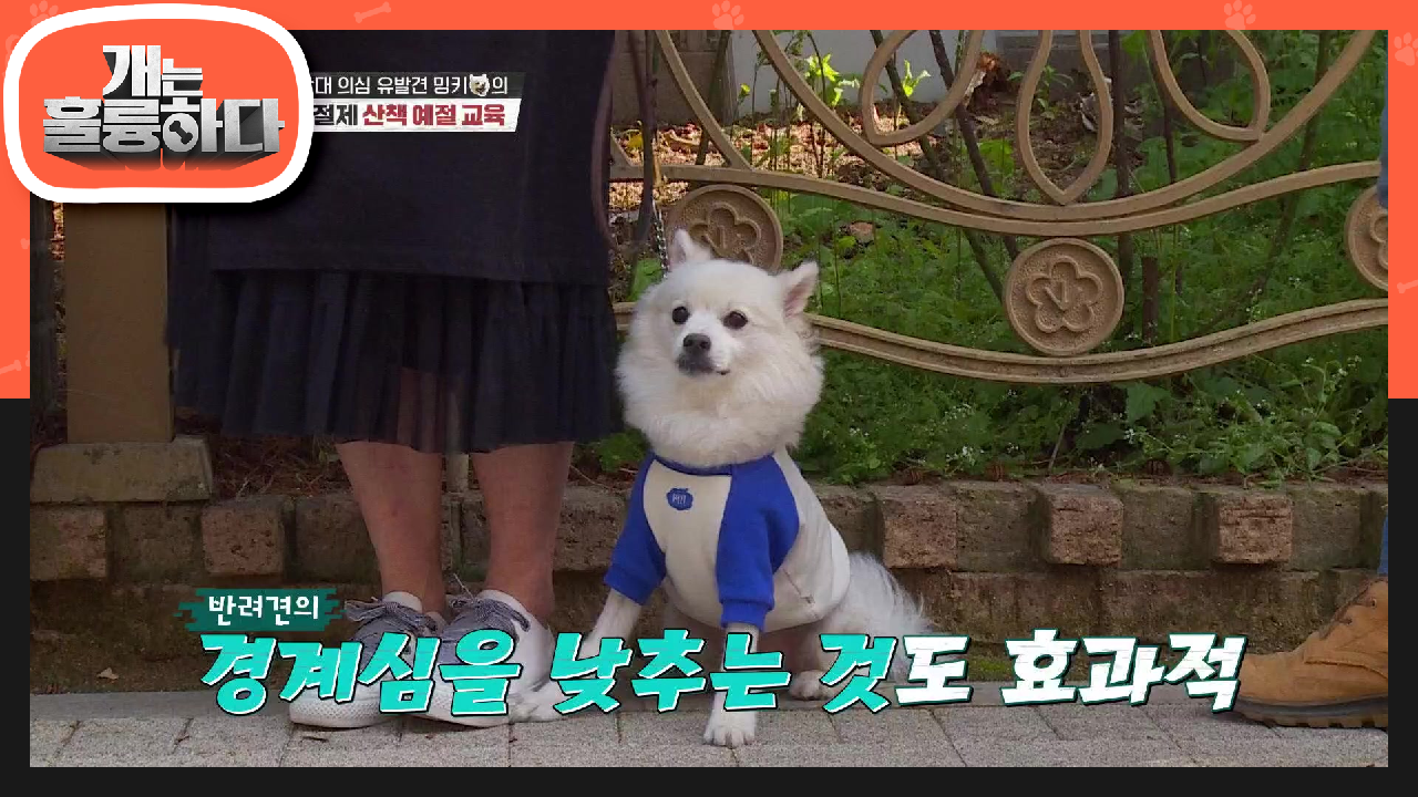 지나가는 아이들을 보고 가빠지 호흡! 얌전한 밍키가 되기 위한 지름길은? | KBS 210524 방송