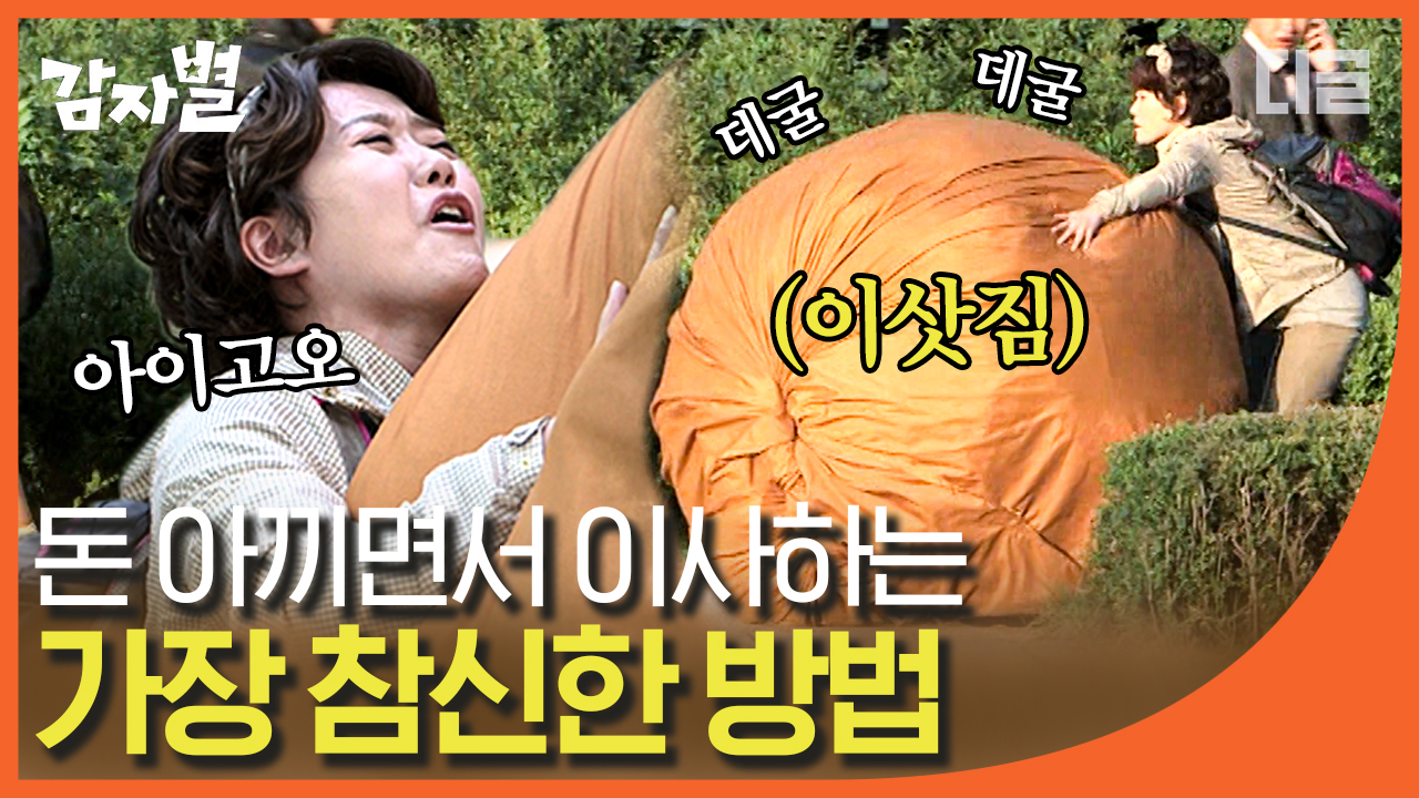 거의 쇠똥구리 출신 오영실😎 이삿짐 굴리는 솜씨가 심상치 않아... 거의 쇠똥구리 출신 오영실😎 이삿짐 굴리는 솜씨가 심상치 않아... 
