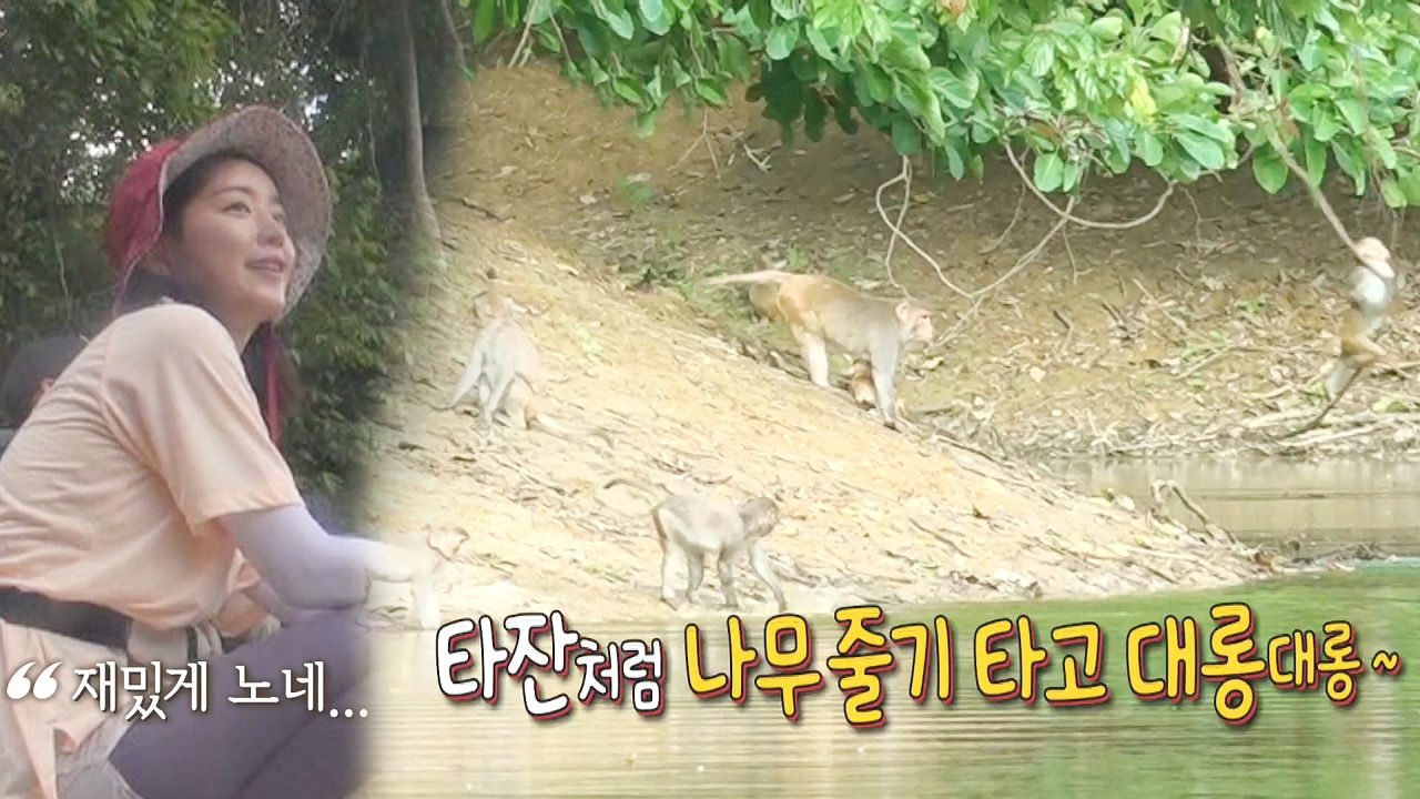 ‘몽키 파라다이스’ 미얀마는 길냥이 대신 길거리 원숭이!