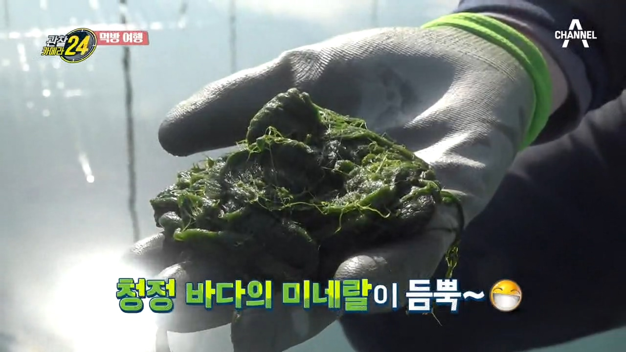 지금이 딱 제철! 향긋한 바다내음 물씬~ 매생이 밥상!