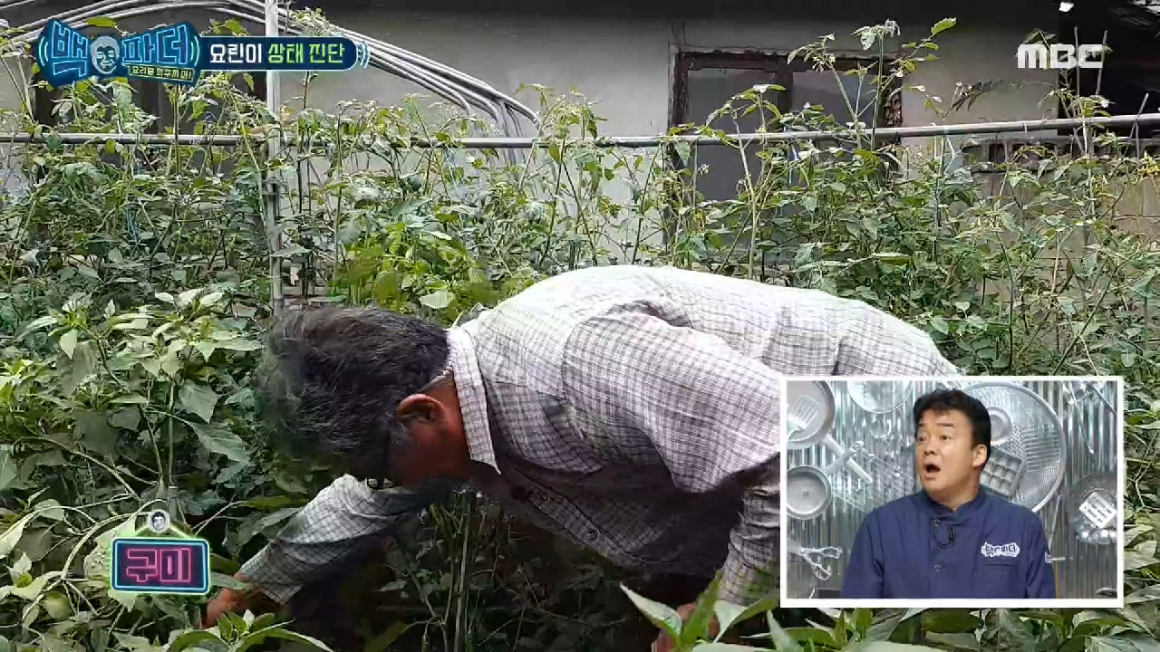 필요한 재료 텃밭에서 따오는 구미 요르신