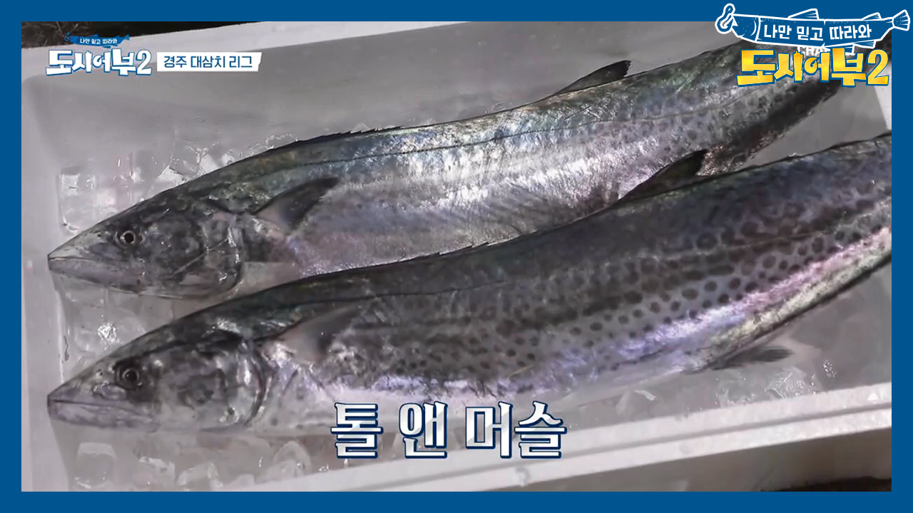 롱앤핸섬 톨앤머슬 대삼치 등장★ 고도 천년(?) 경주 먹방 가보쉬!