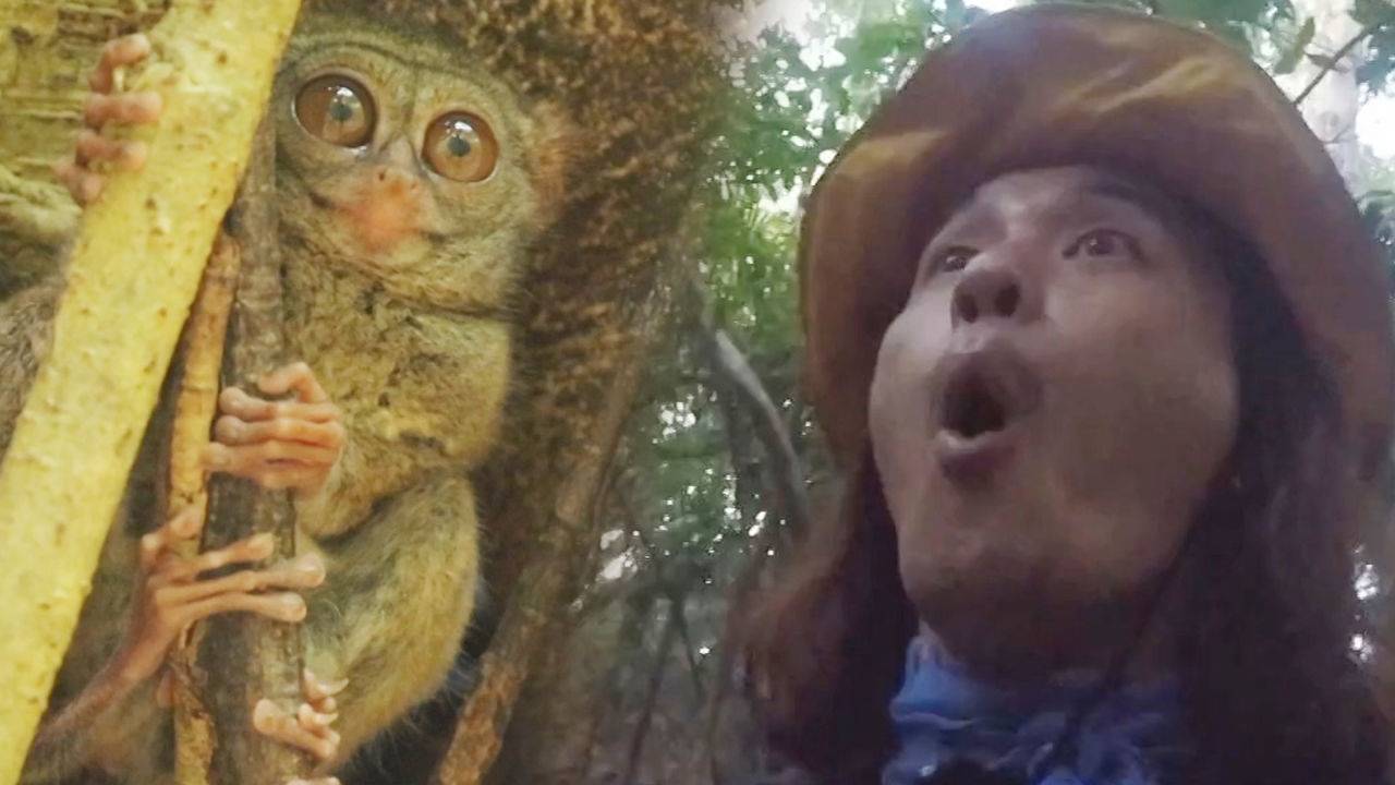 정글의 법칙 in 순다열도 391회