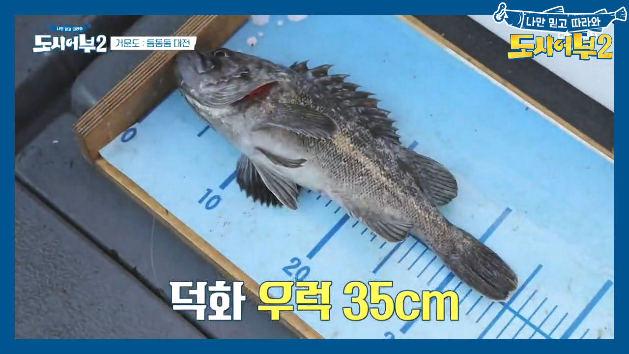 ※잡어맨※ 캐릭터 유지한 덕화...?ㅋㅋ 씨알 좋은 대물 우럭 낚았다~♥