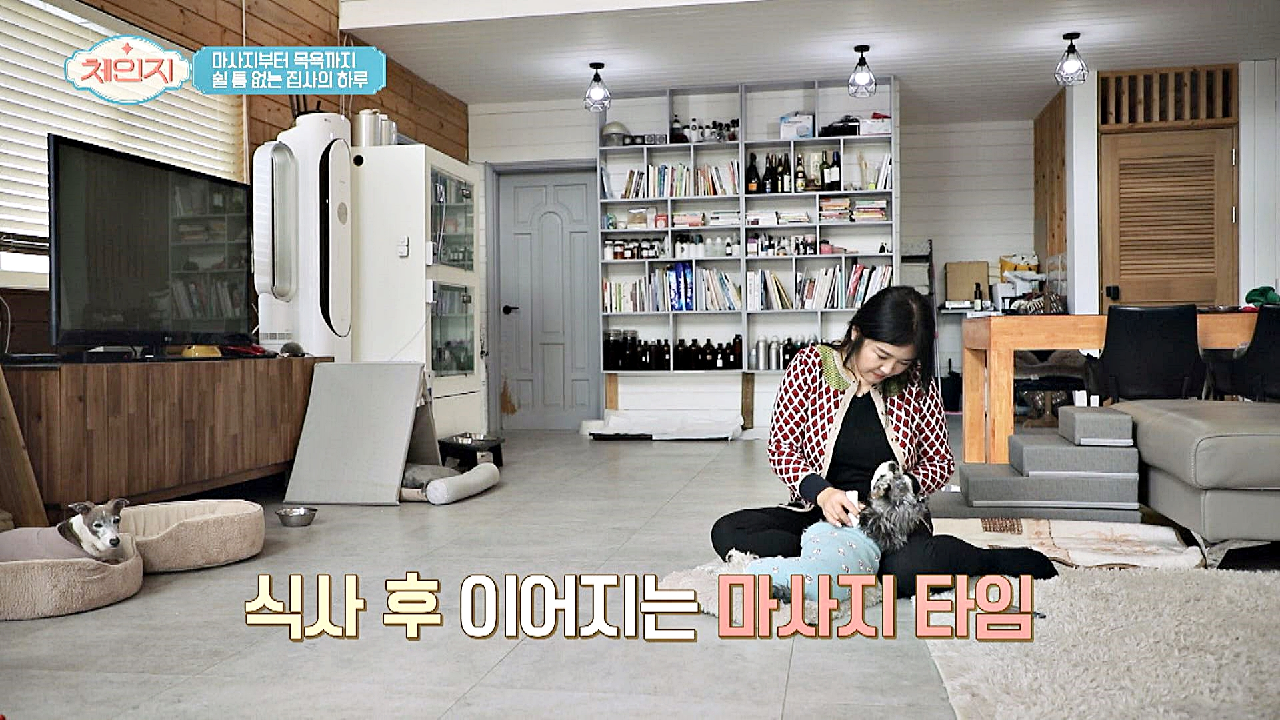※주목※ 반려동물을 위한 펫 마사지☞ 허브볼 마사지
