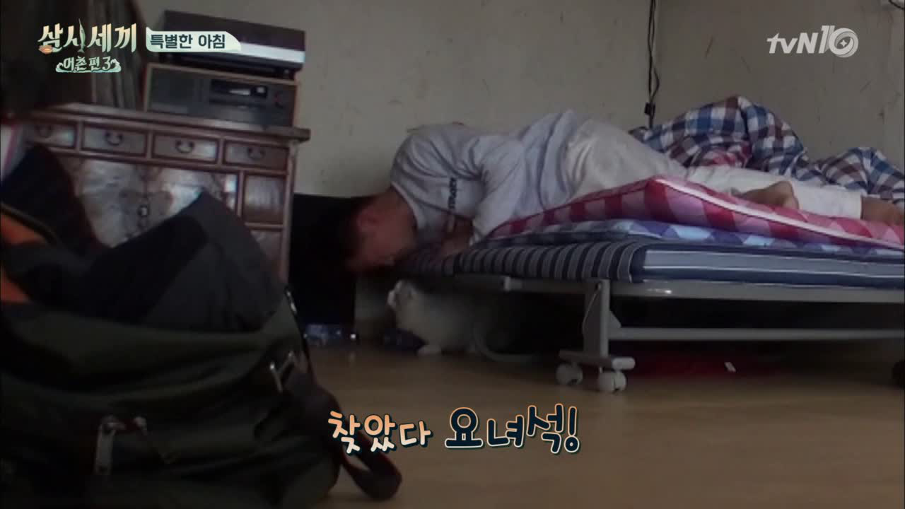 쿵이와 지니의 모닝 뽀뽀