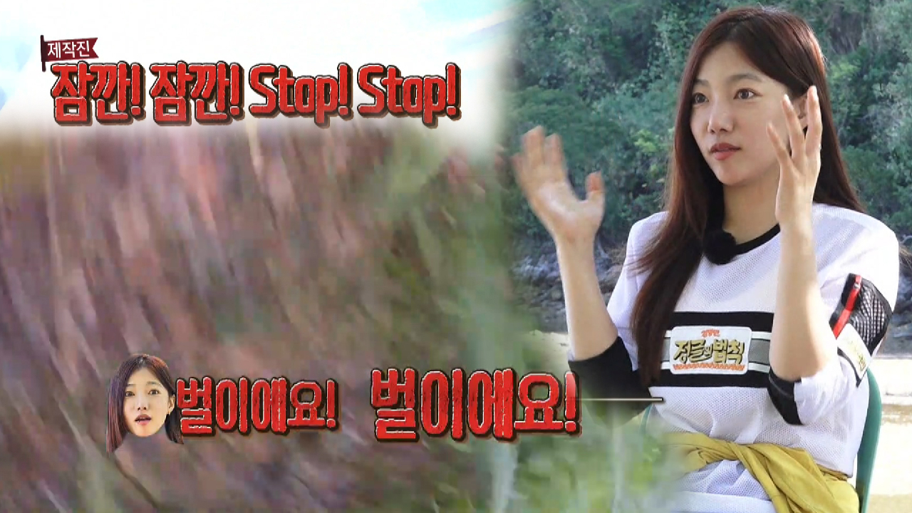 [노약자 시청주의] 송진우×이채영, 정글 말벌떼의 습격에 패닉!!