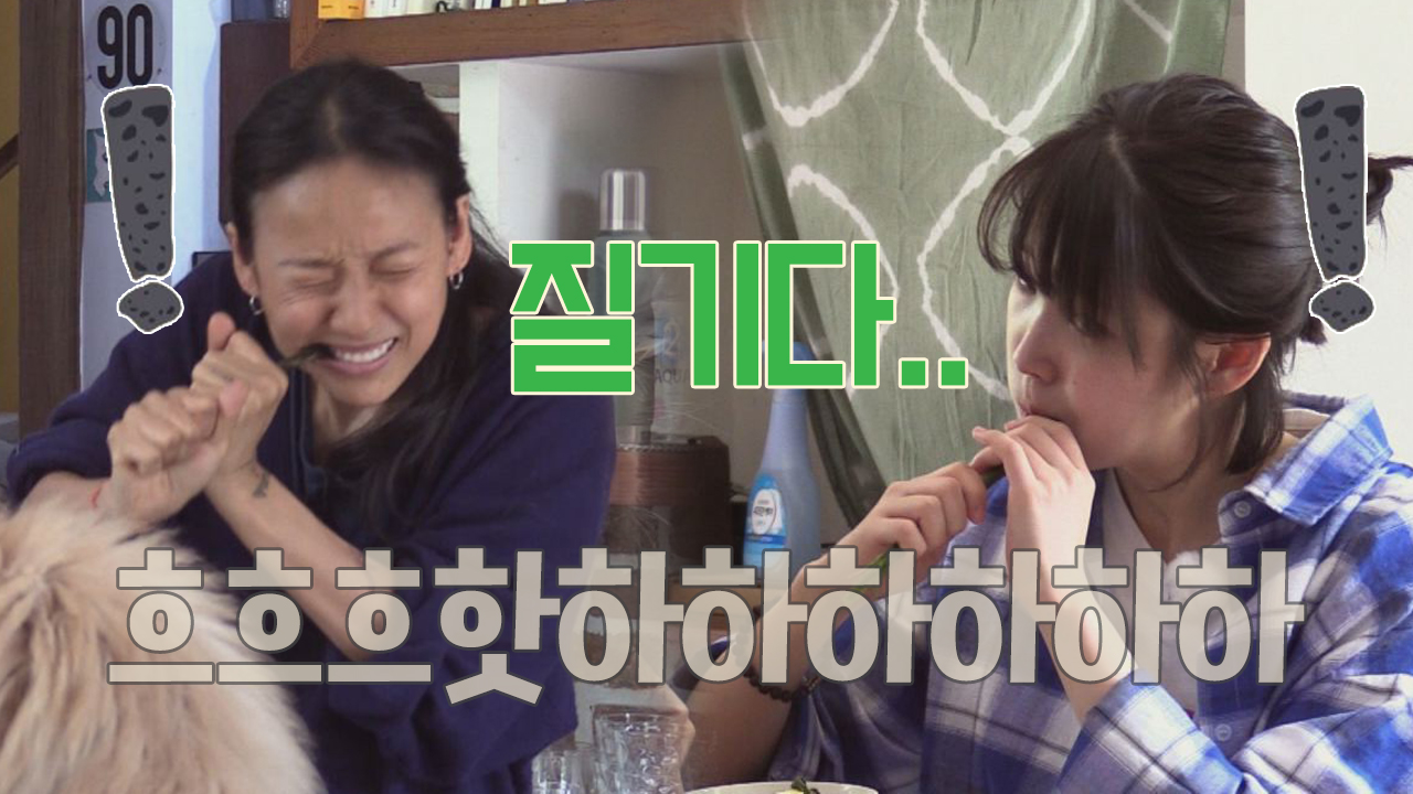 [폭소] 효리x아이유, 질겨도 너무 질긴 양하에 이 빠질 뻔(ㅋㅋ)