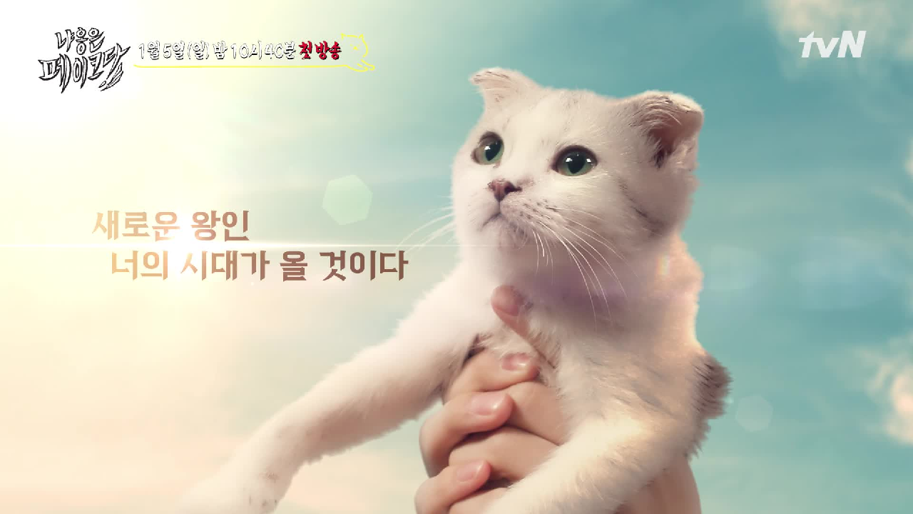 thumb.png?ts=1578237488