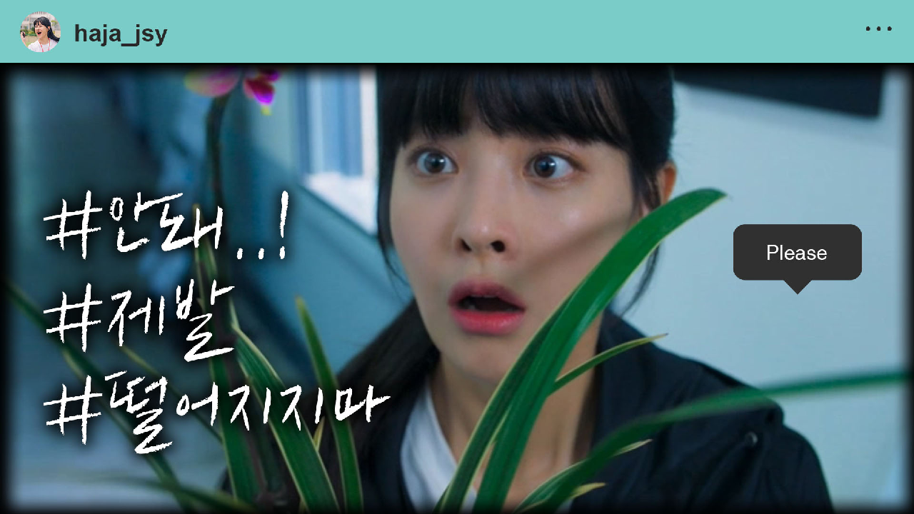 하자있는 인간들 2회 재방송 다시보기, 공식영상 보러가기 하자있는 인간들 2회 재방송 다시보기, 공식영상 보러가기