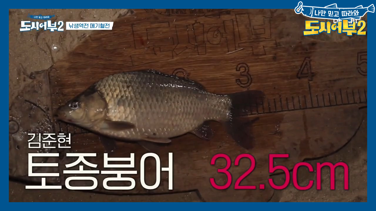 ★황금배지 유력★ 드디어 준현이 일냈다~!! 3짜 토종 붕어 히이뜨^^