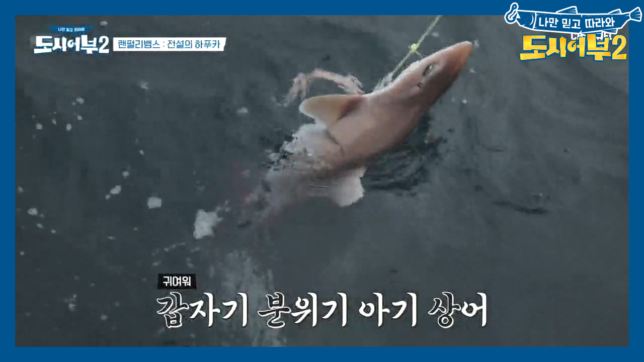 ㄴ상상도 못한 정체ㄱ 덕화, 시작하자마자 입질 왔다⊙ㅁ⊙?!