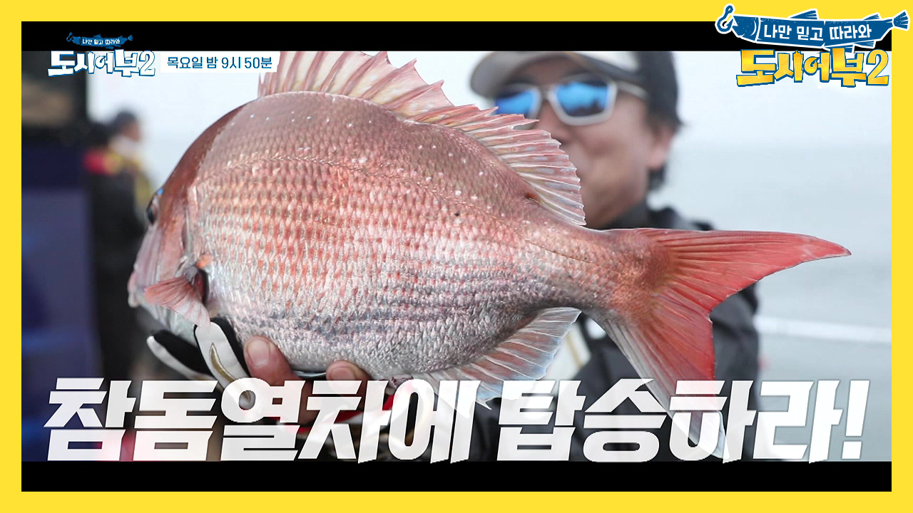 [선공개]쫓고 쫓기는 이곳...덕포드의 위험한 참돔열차