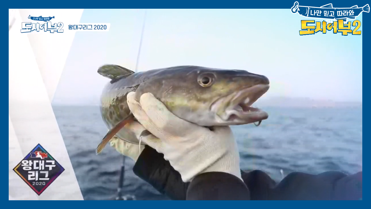 대구는 이태곤! 경배하라 쓰리스타 KING태곤 첫 대구 히트★