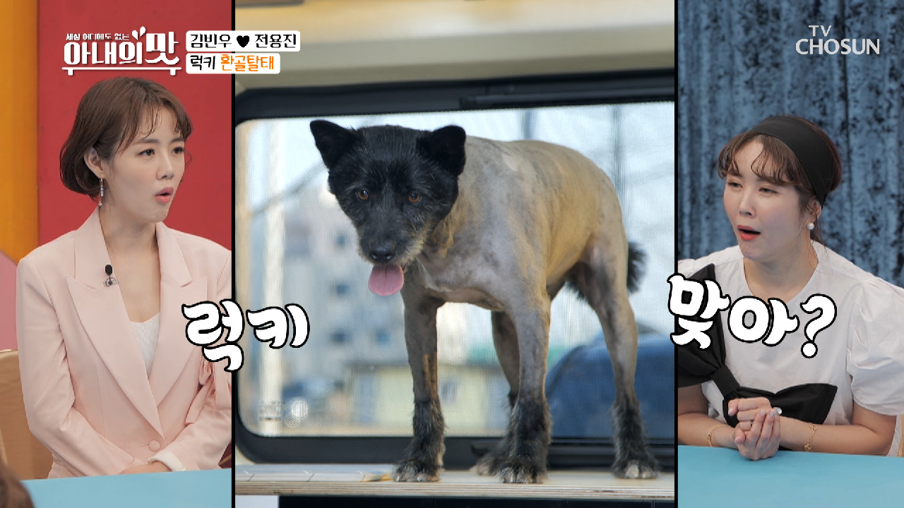 럭키의 ʚ환골탈태ɞ 최소 10년 회춘 :)