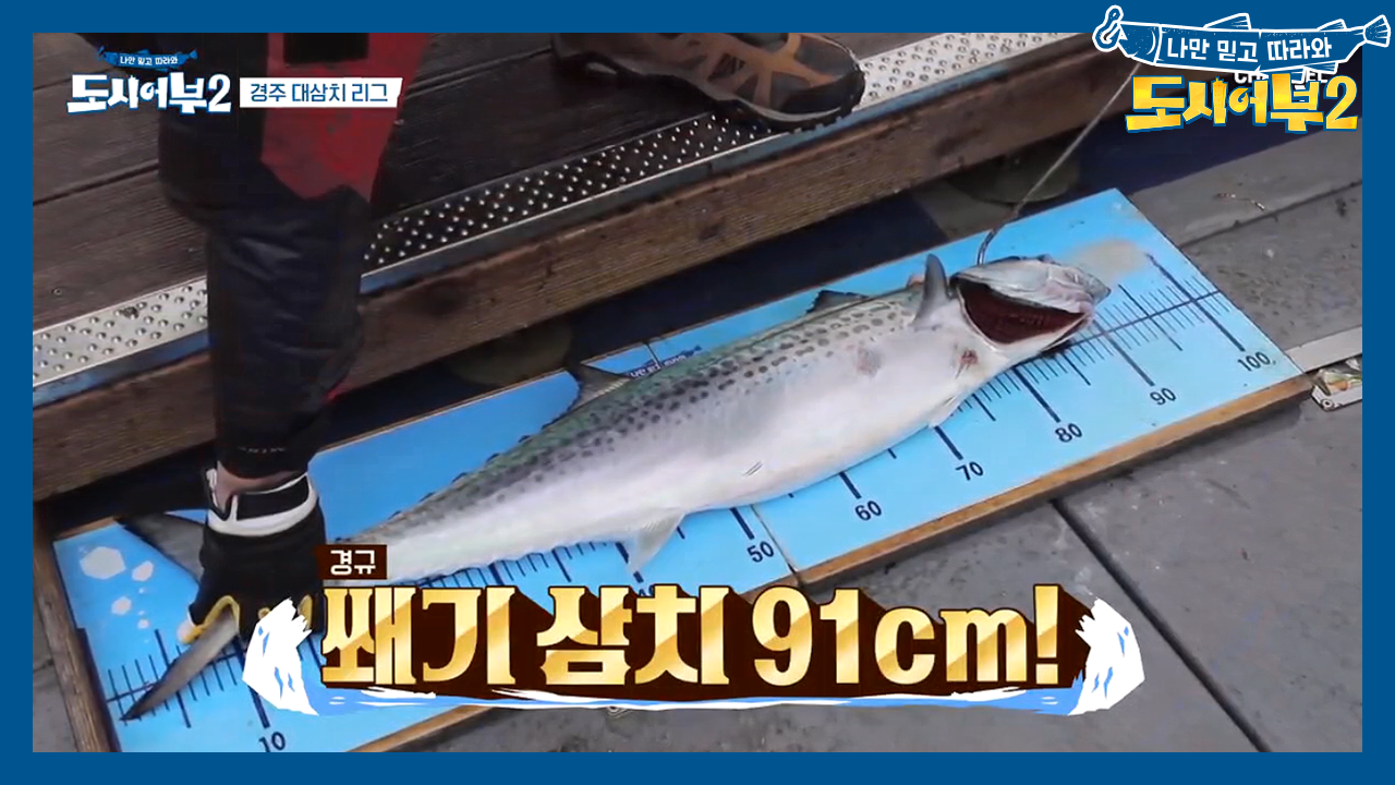 자연스럽게 순위 쐐기를 박아 버리는 경규삼치!