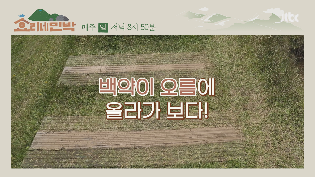 [비하인드] 싱그러운 제주 &#39;백약이 오름&#39;, 김해 5소녀도...