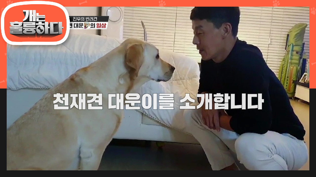 오늘의 팔불출(?)견학생! 가요계 레전드! 성진우의 반려견! ‘천재견 대운이’ | KBS 210809 방송