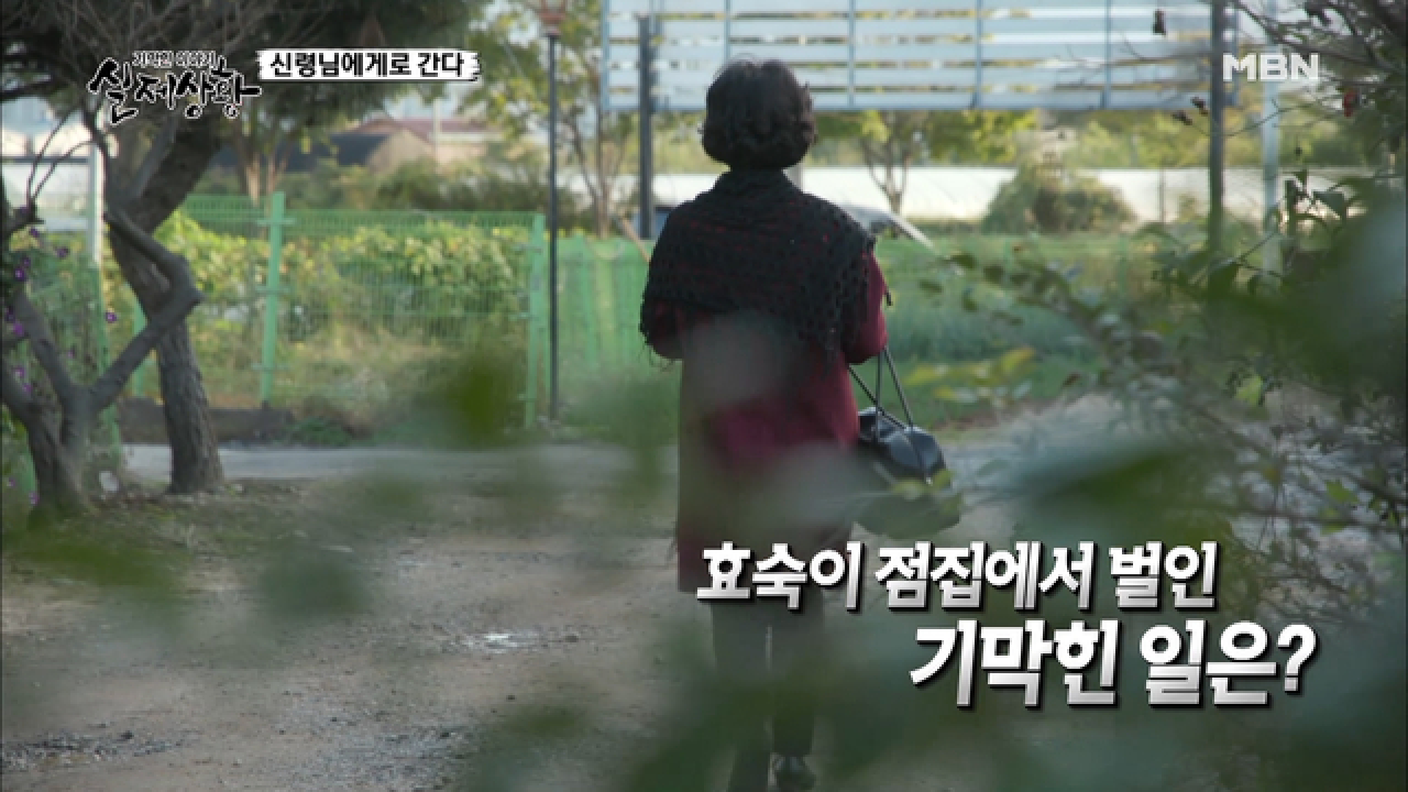 (실제상황) ‘비나이다 비나이다~’ 점집 순례하는 여자의 시크릿!
