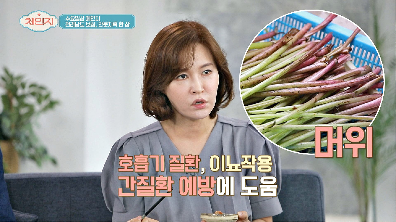 줄기부터 꽃까지 싹-다! 활용도가 많은 식물 &#39;머위&#39;