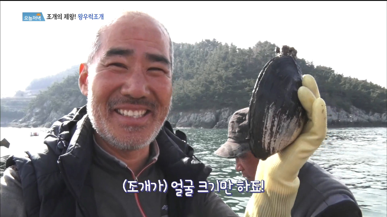 조개의 끝판왕이 나타났다! 왕우럭조개! - kakaoTV 조개의 끝판왕이 나타났다! 왕우럭조개!